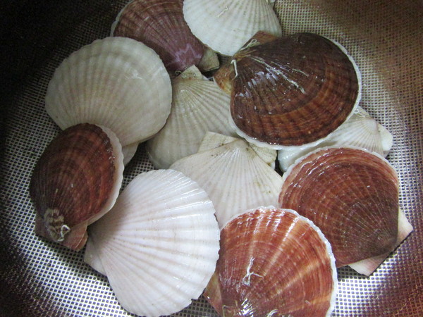 f0231709_1034574.jpg