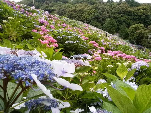 e0099212_21462224.jpg