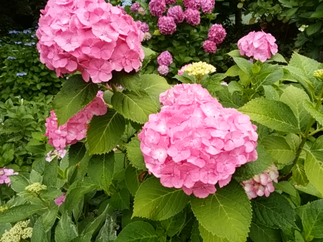 e0099212_2147324.jpg
