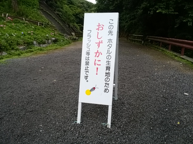 e0099212_2213507.jpg