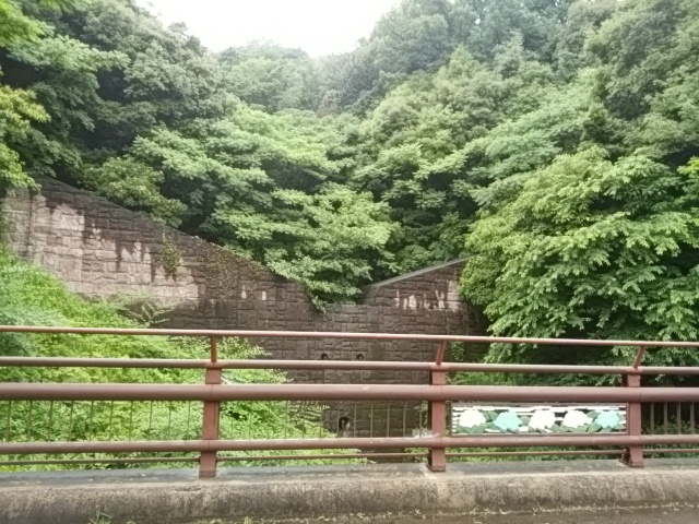 e0099212_22143967.jpg