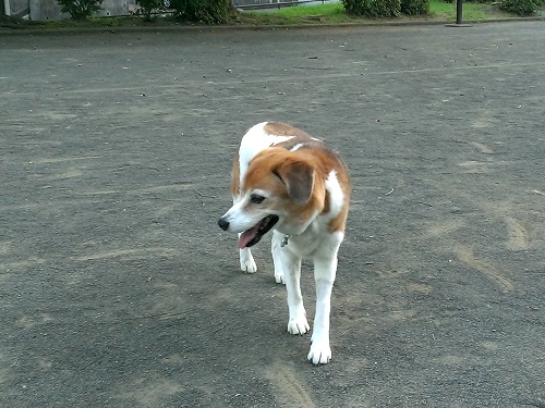 c0084117_20102737.jpg