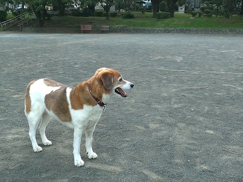 c0084117_20114974.jpg