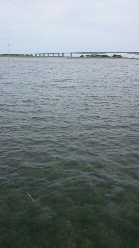b0259124_13262945.jpg