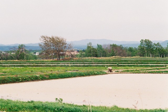 f0362725_04130976.jpg