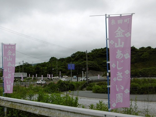 d0086228_13021415.jpg