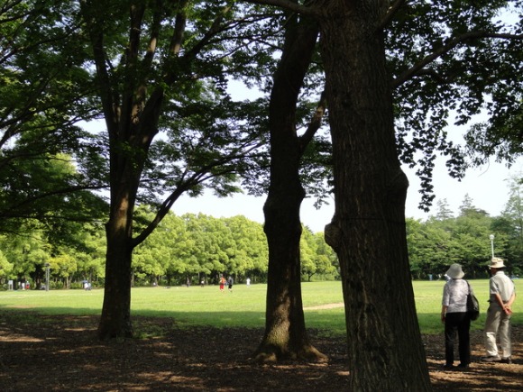 f0238932_0364219.jpg