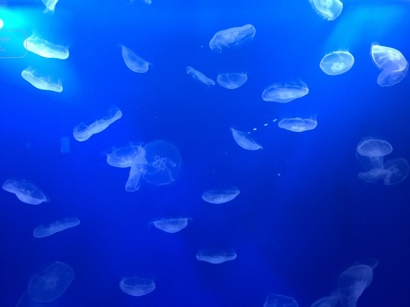 b0209033_11293288.jpeg