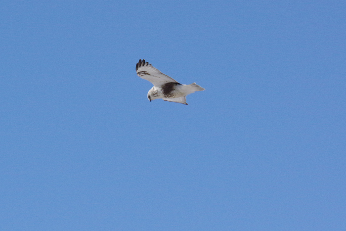 b0247838_1248018.jpg