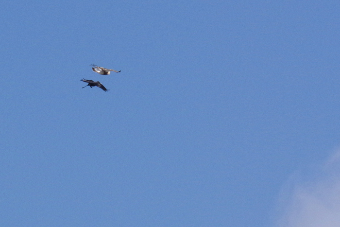 b0247838_12484650.jpg