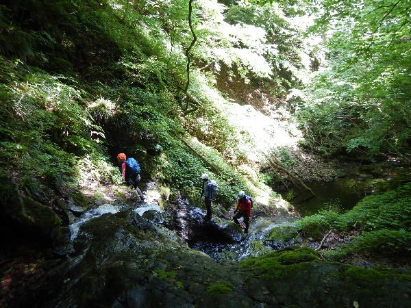 d0107938_12314153.jpg
