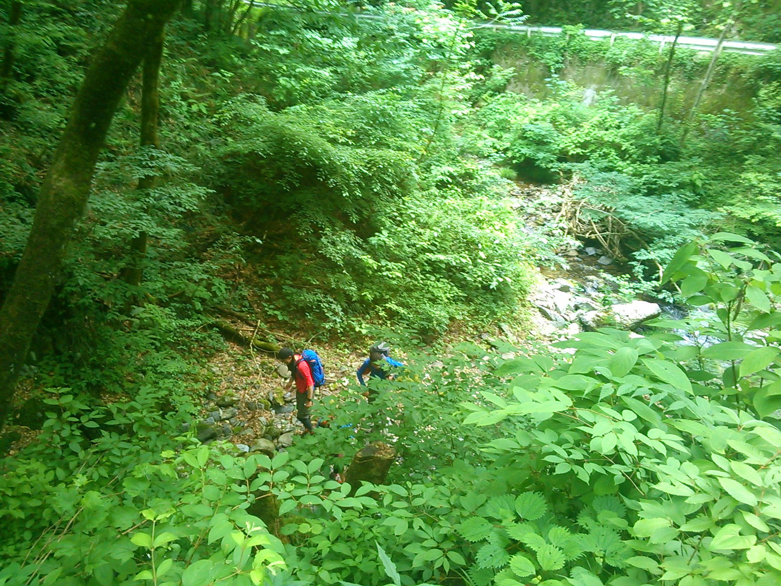 d0107938_12363459.jpg