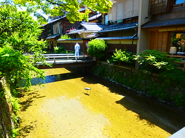 c0137641_17254047.jpg