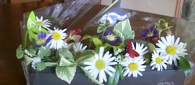 e0082045_16241181.jpg