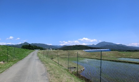 e0082045_1654263.jpg
