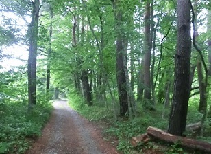 e0082045_17142664.jpg