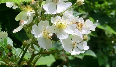 e0082045_1915712.jpg