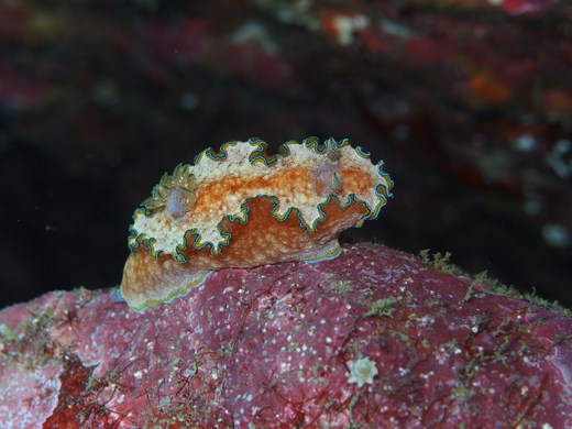 b0236647_14545519.jpg
