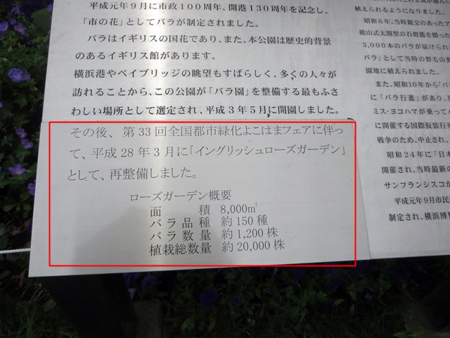 b0009849_1872222.jpg
