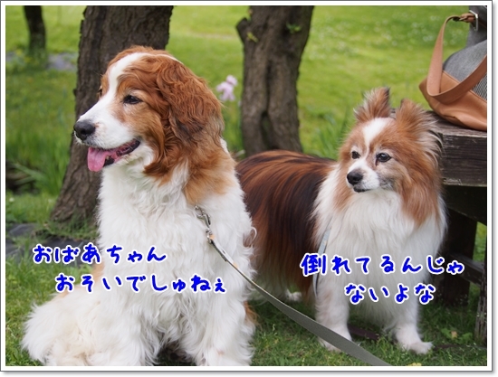 d0013149_23344169.jpg