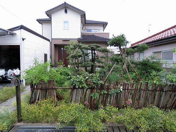 f0214649_6334179.jpg