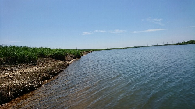 c0097652_2185113.jpg