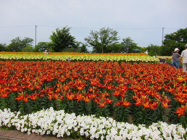 c0327752_14562466.jpg