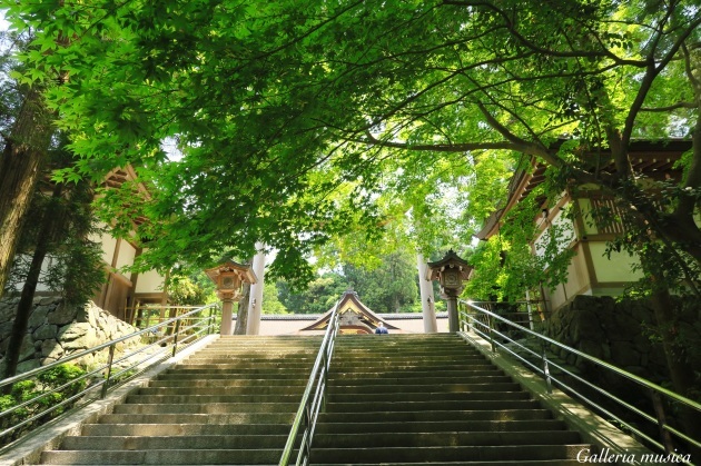 f0351853_21200413.jpg