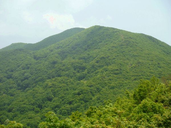 c0294658_05193557.jpg