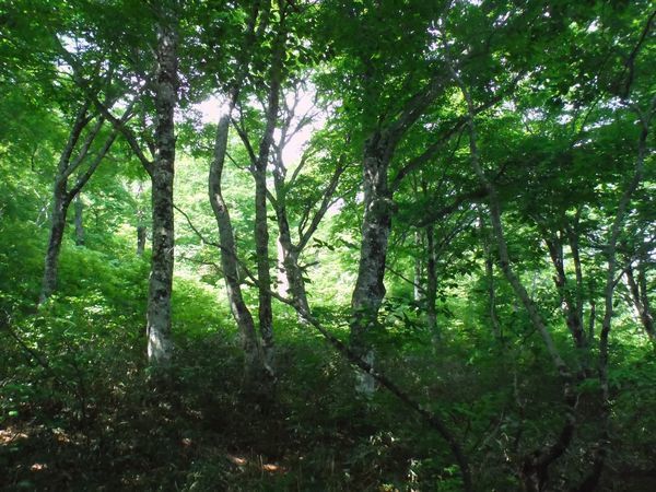 c0294658_05264364.jpg