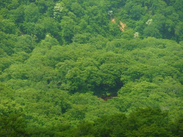 c0294658_05462124.jpg