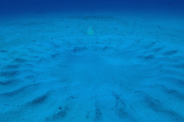 b0062363_1717359.jpg