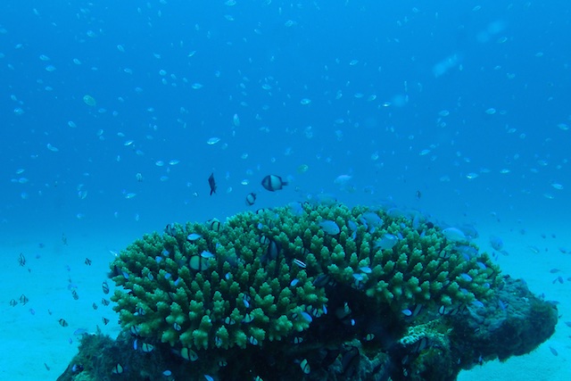 b0062363_17174858.jpg