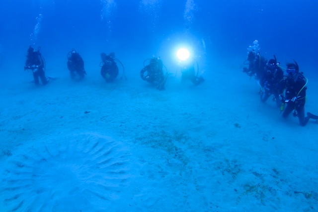 b0062363_6151032.jpg
