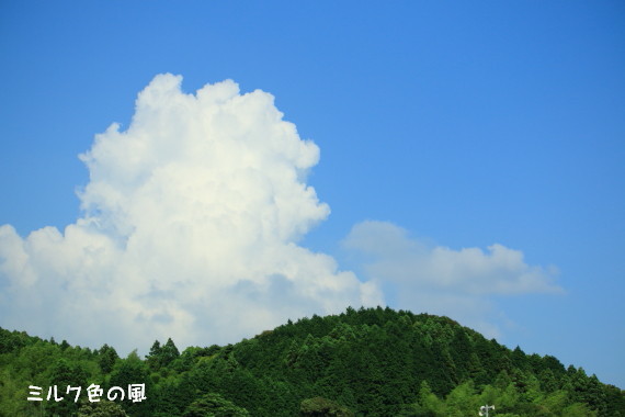 c0368870_17065140.jpg