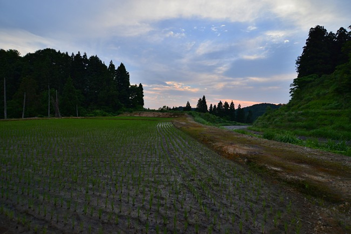d0341880_15365934.jpg