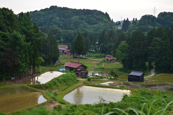 d0341880_15394689.jpg