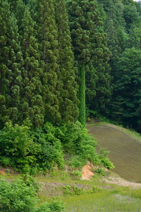 d0341880_2116484.jpg