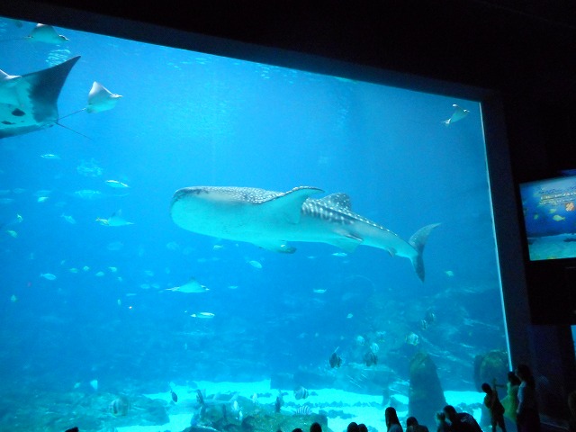 e0327983_11411912.jpg