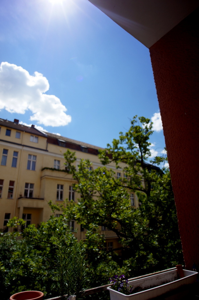c0180686_05423552.jpg