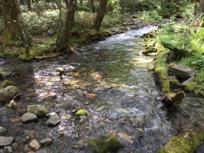 f0268294_22063812.jpeg