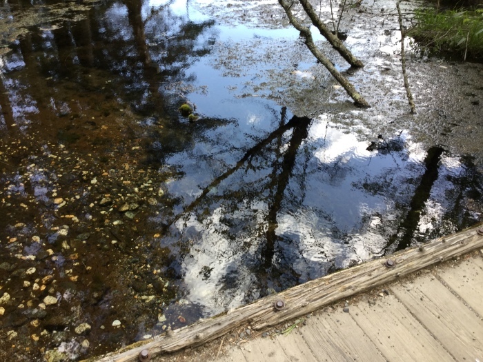 f0268294_22081801.jpeg