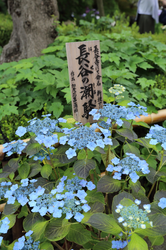 b0275998_13271486.jpg