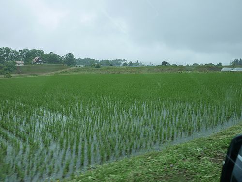 c0090198_194286.jpg