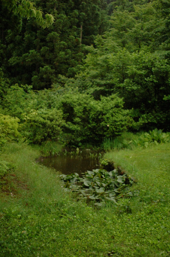 a0061599_736128.jpg