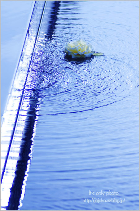 e0008800_23503617.jpg