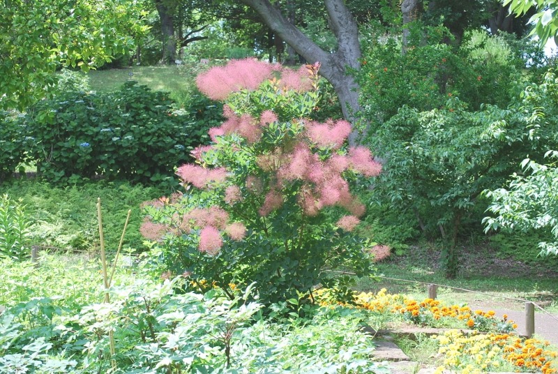 e0025300_2338413.jpg