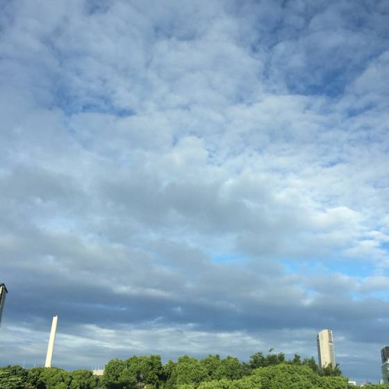 d0057701_11080910.jpg