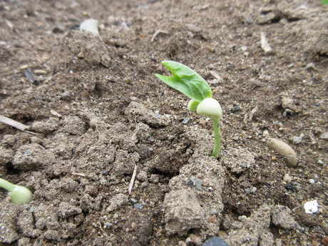 a0203003_203389.jpg