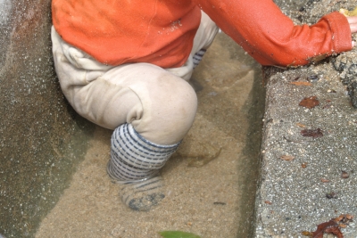 c0016208_1712213.jpg